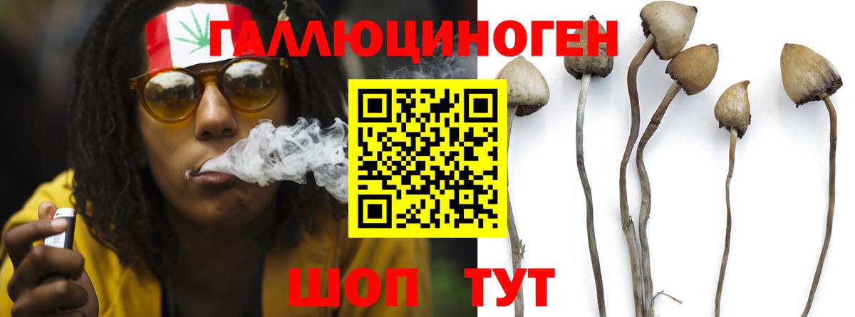 Псилоцибиновые грибы MAGIC MUSHROOMS  где можно купить   Вход с VPN  Великие Луки  Галлюциногенные грибы Cubensis 